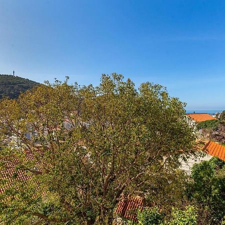 Finnella Dubrovnik Luaran gambar